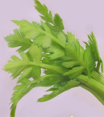 Celery